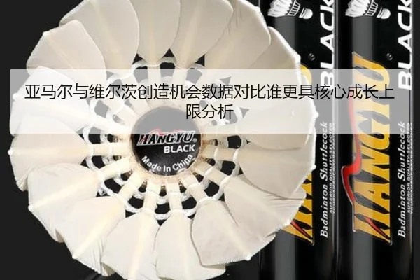 亚马尔与维尔茨创造机会数据对比谁更具核心成长上限分析