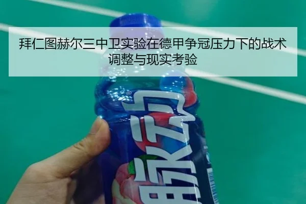 拜仁图赫尔三中卫实验在德甲争冠压力下的战术调整与现实考验